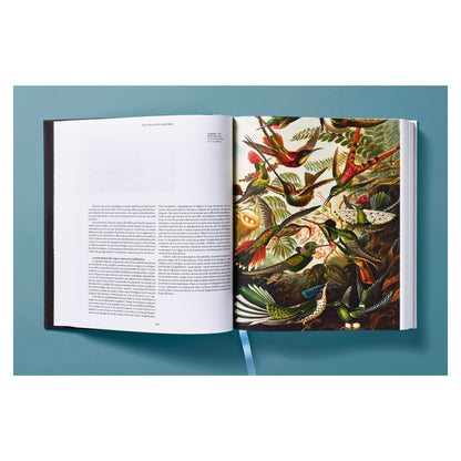 The Art and Science of Ernst Haeckel (German, French, English) Book