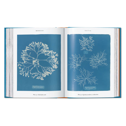 Anna Atkins. Cyanotypes. 45th Ed. (German, French, English) Book