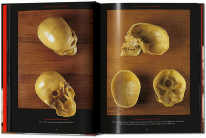 Anatomical Waxes. 45th Ed. (German, French, English) Book