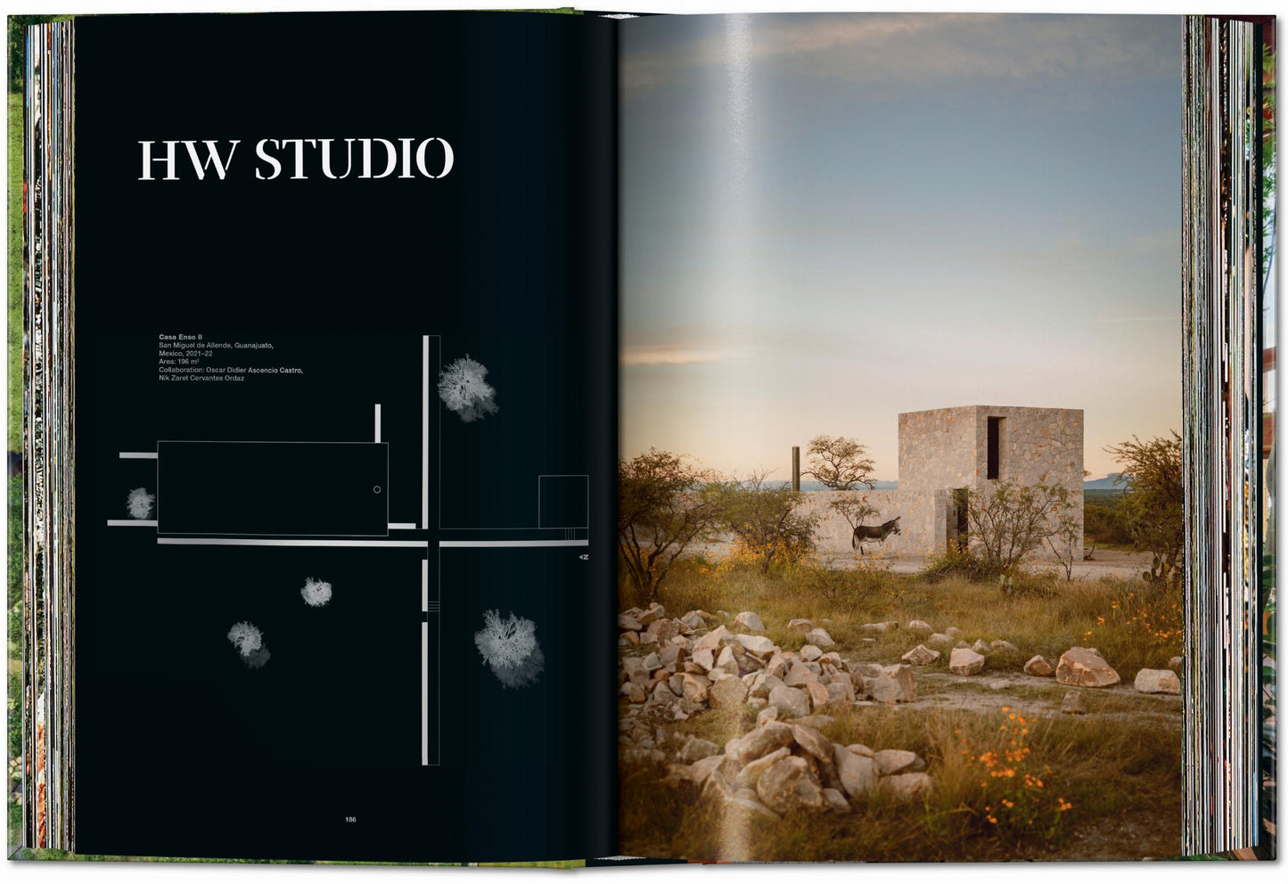 Homes for Our Time. Sustainable Living (German, French, English) Book