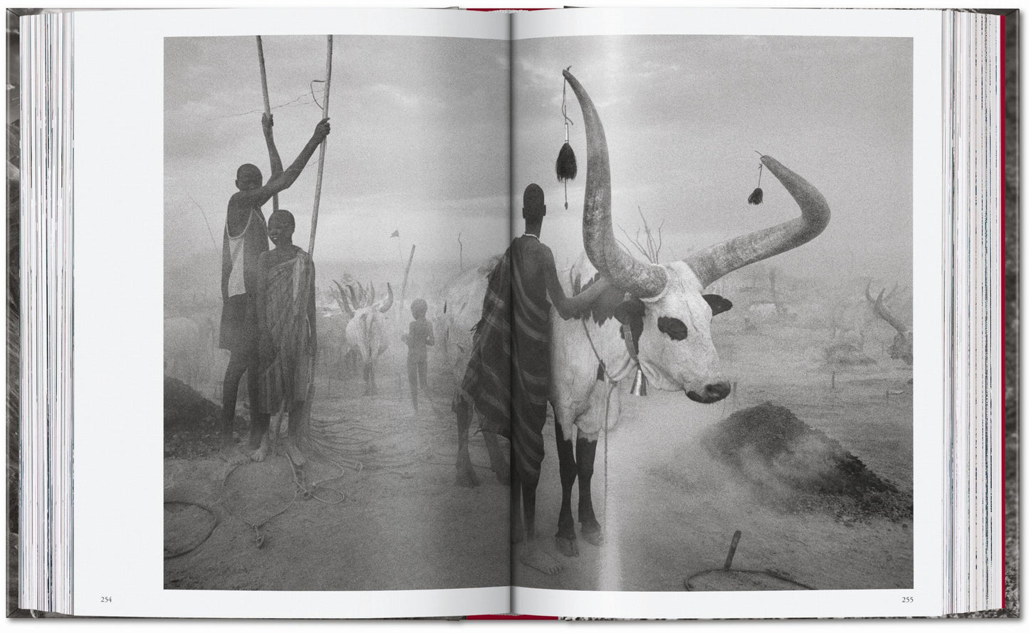 Sebastião Salgado. Genesis. 45th Ed. (English) Book