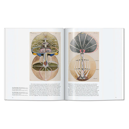 Hilma af Klint (English) Book