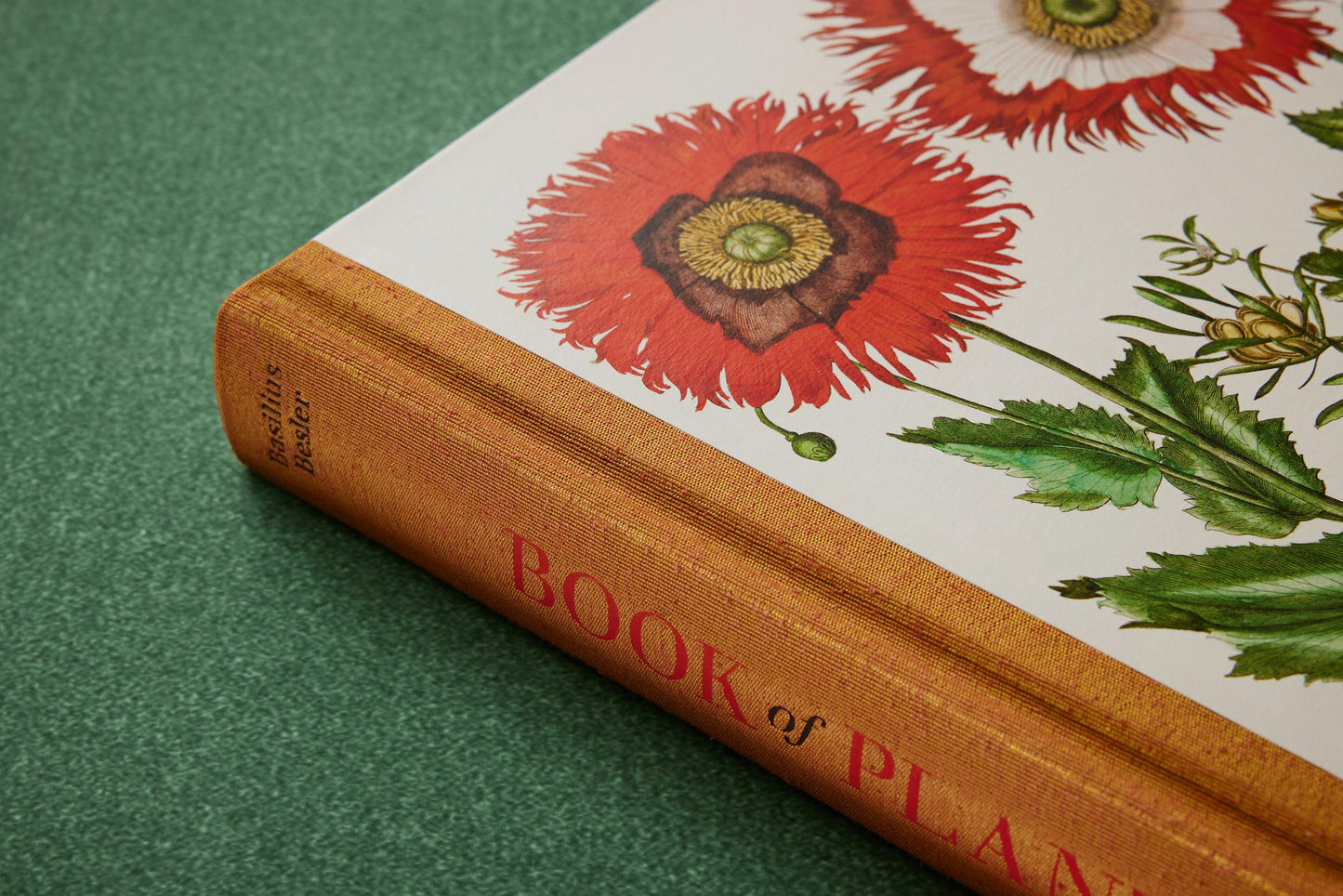 Basilius Besler. The Garden at Eichstätt (German, French, English) (FFE) Book