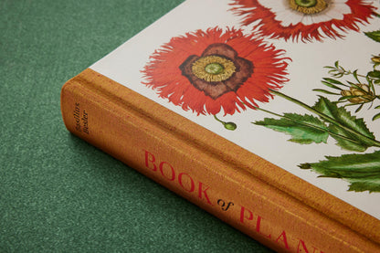 Basilius Besler. The Garden at Eichstätt (German, French, English) (FFE) Book