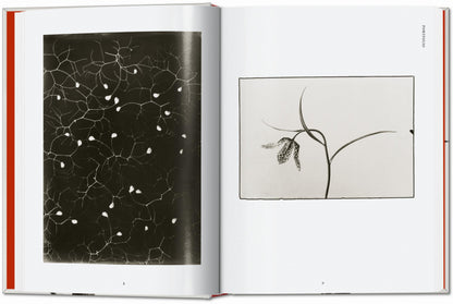 Karl Blossfeldt. The Complete Published Work. 45th Ed. (German, French, English) Book