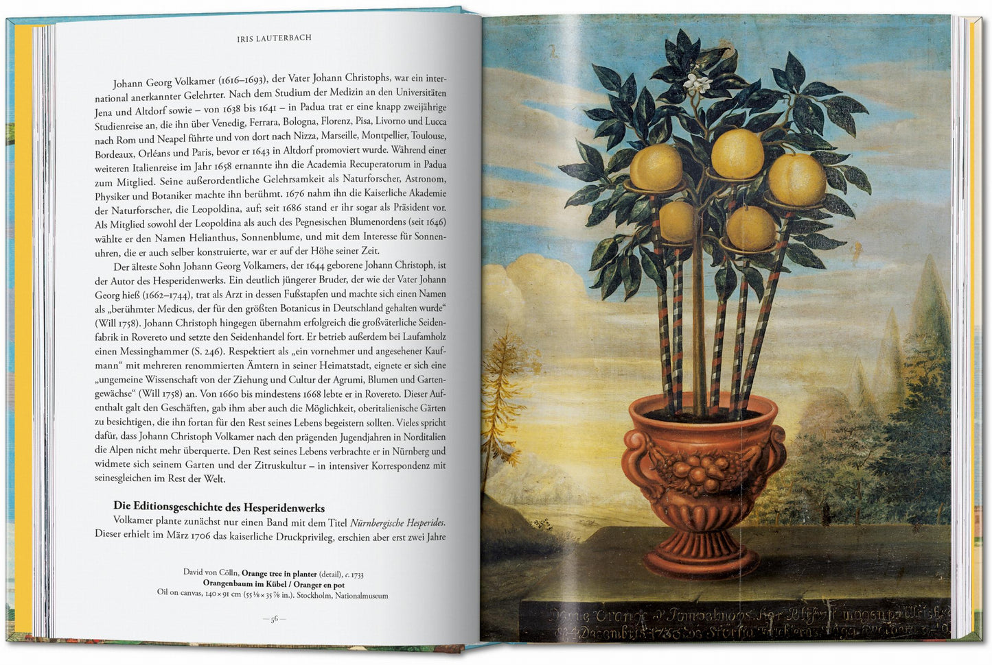 J. C. Volkamer. The Book of Citrus Fruits. 45th Ed. (German, French, English) Book