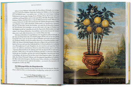 J. C. Volkamer. The Book of Citrus Fruits. 45th Ed. (German, French, English) Book