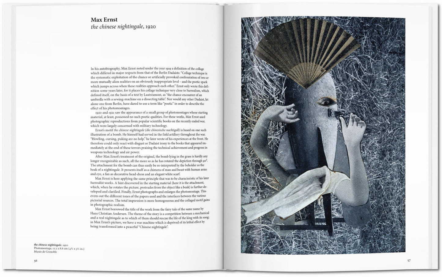 Dadaism (English) Book