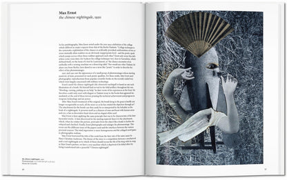 Dadaism (English) Book