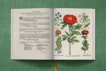 Basilius Besler. The Garden at Eichstätt (German, French, English) (FFE) Book
