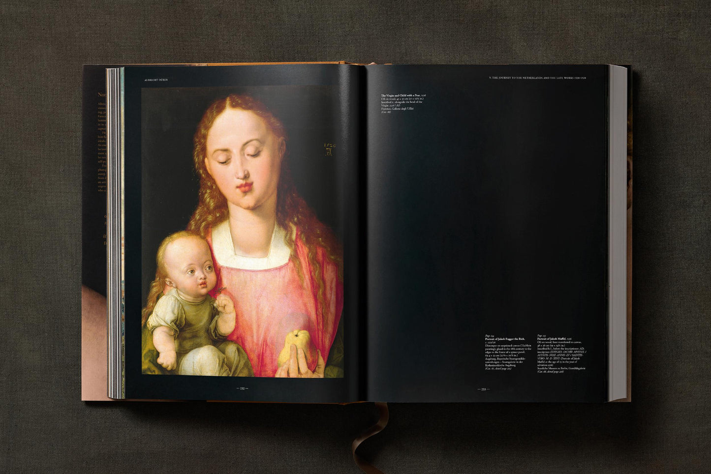 Albrecht Dürer. The Complete Paintings. Selected Drawings and Prints (English) Book