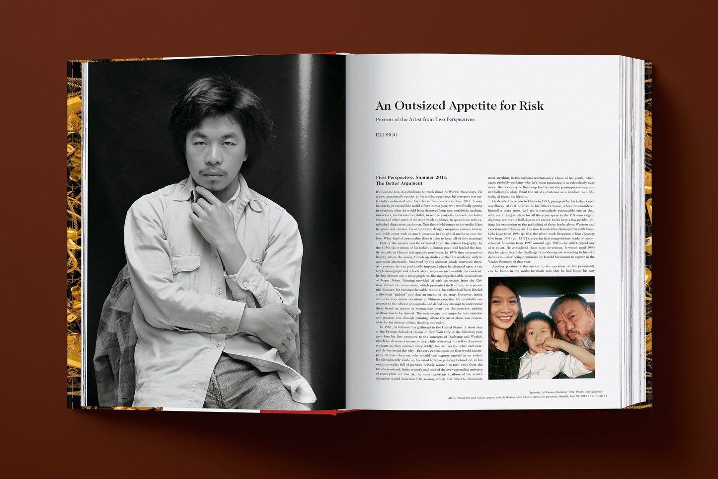 Ai Weiwei. Updated Edition (German, French, English) Book