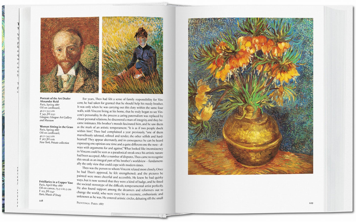 Van Gogh. The Complete Paintings (English) Book