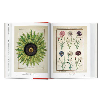 A Garden Eden. Masterpieces of Botanical Illustration. 45th Ed. (German, French, English) Book