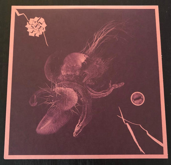 Now That You've Found It Vinyl Record