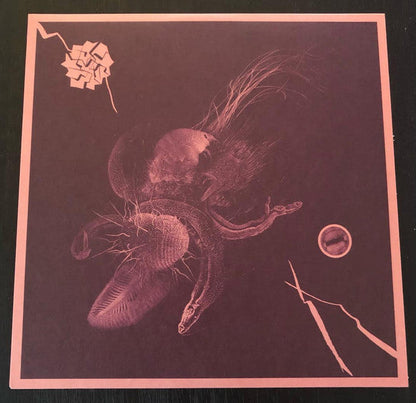 Now That You've Found It Vinyl Record