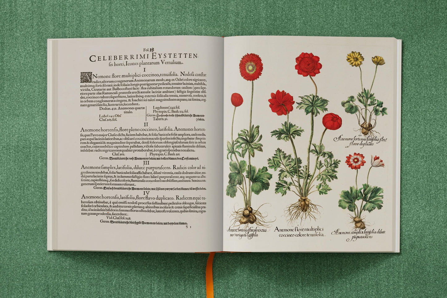 Basilius Besler. The Garden at Eichstätt (German, French, English) (FFE) Book