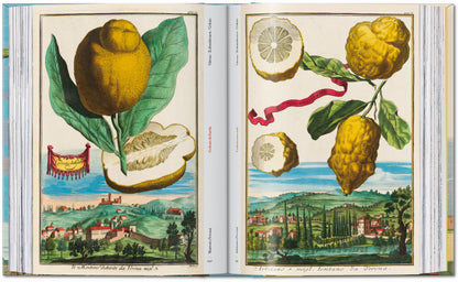 J. C. Volkamer. The Book of Citrus Fruits. 45th Ed. (German, French, English) Book