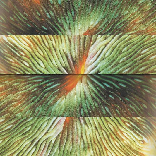Active Surplus - Mirroring Vinyl Record