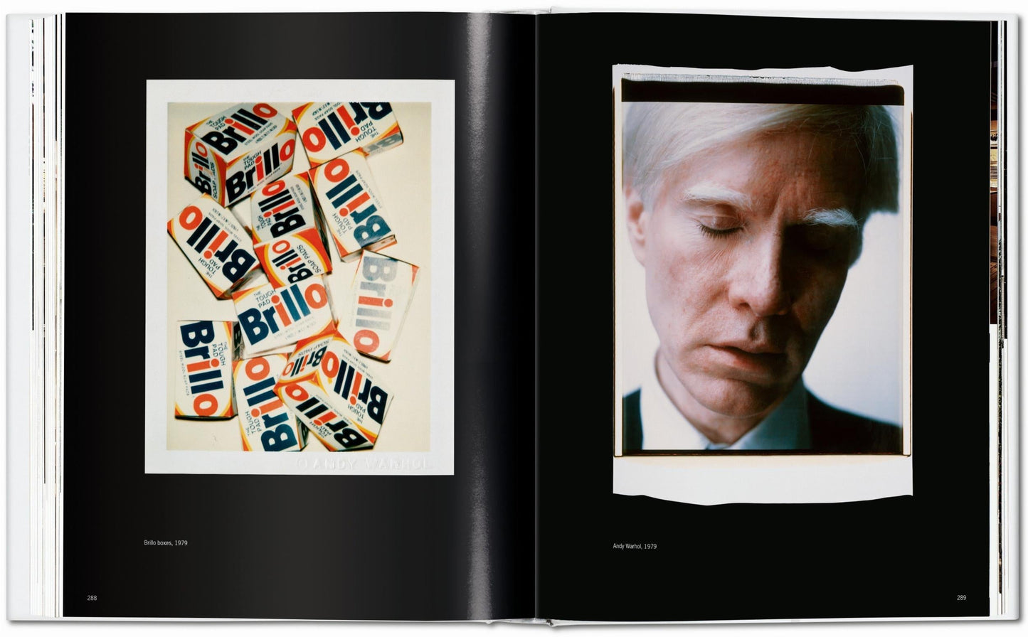 Andy Warhol. Polaroids 1958-1987 (German, French, English) Book