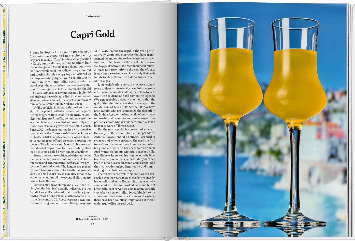 The Gourmand's Lemon. A Collection of Stories and Recipes (English) Book