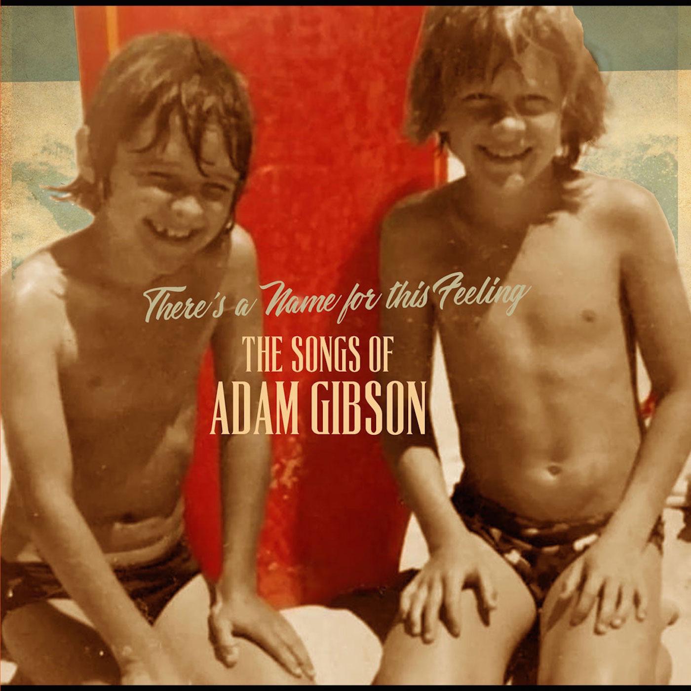 Adam Gibson - The Songs of Adam Gibson Vinyl Record