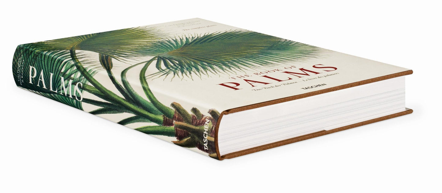 Martius. The Book of Palms (German, French, English) Book