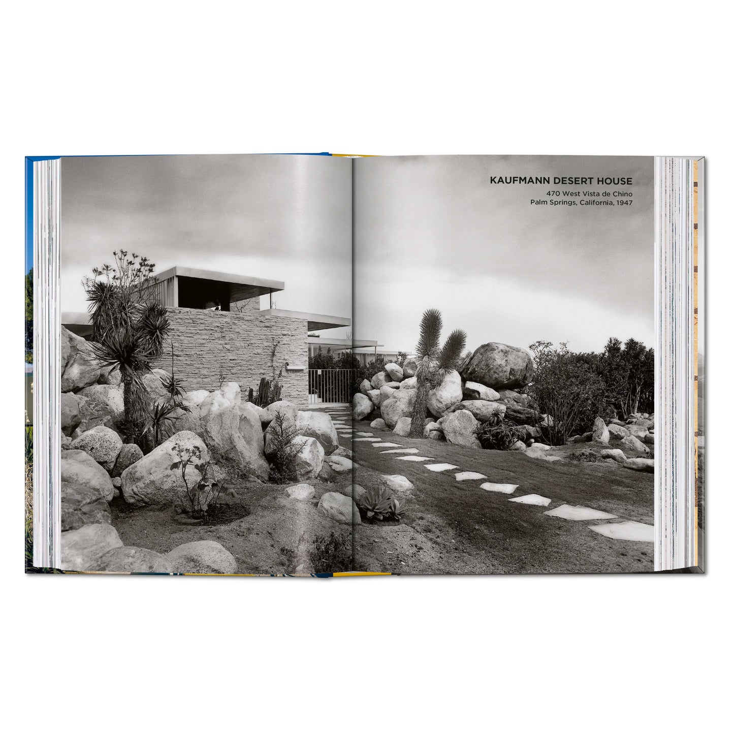 Neutra. 45th Ed. (English) Book