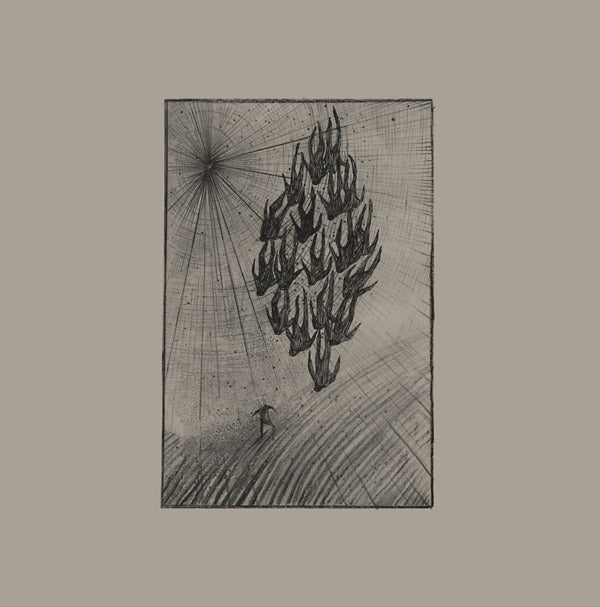 AINE O'DWYER - Locusts Vinyl Record