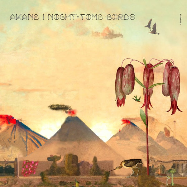 AKANE - Night-Time Birds Vinyl Record