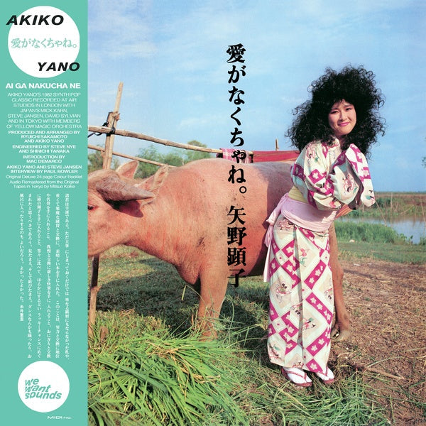 Ai Ga Nakucha Ne [Vinyl] Vinyl Record