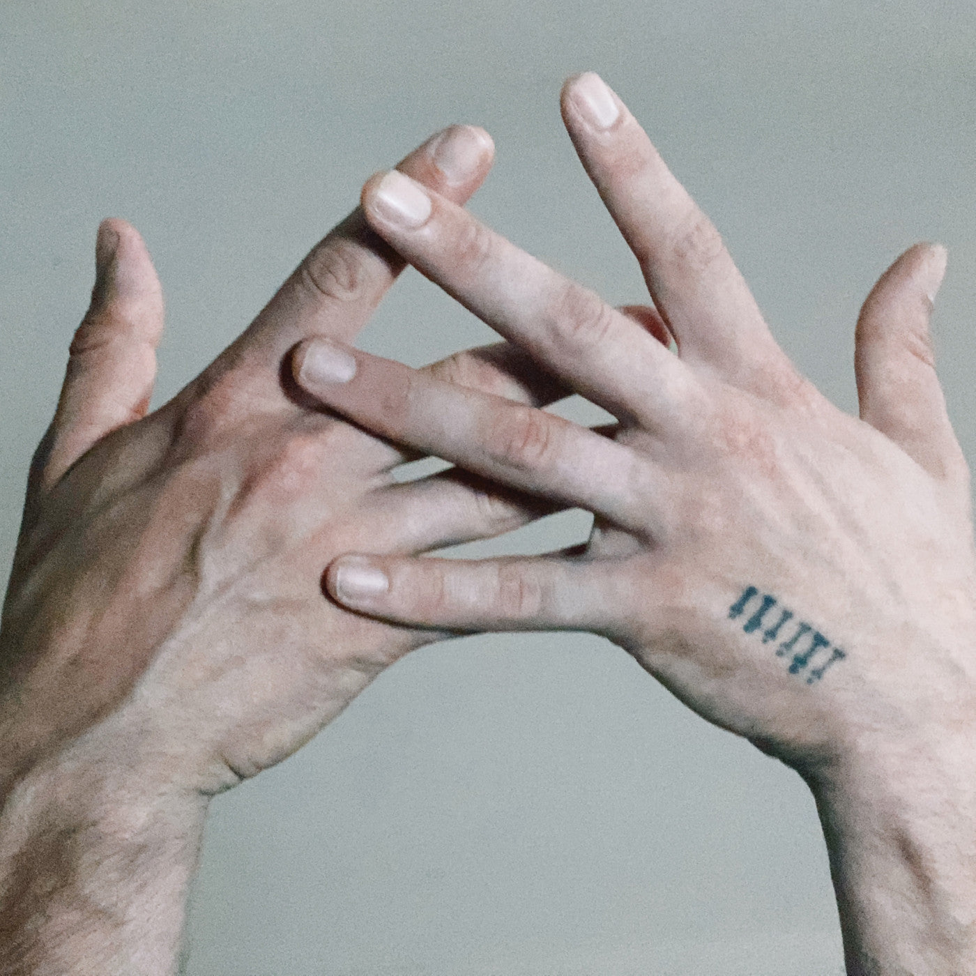 A Blade Because A Blade Is Whole (That Was My Garden Vinyl) Vinyl Record