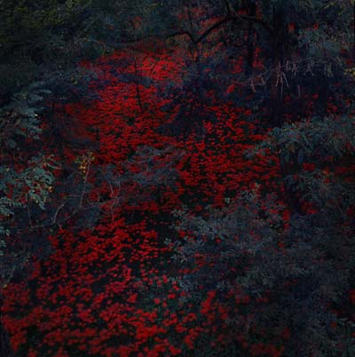 ALEX COBB - Marigold and Cable Vinyl Record