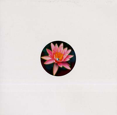 ALEXANDER ROLAND - Balungan Vinyl Record
