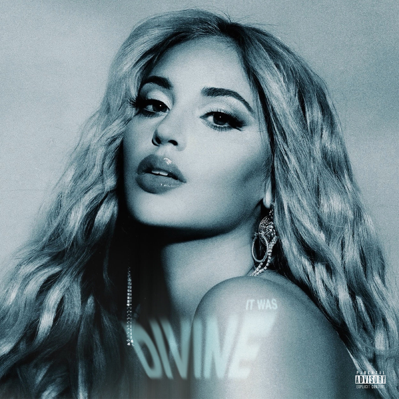 It Was Divine Vinyl Record