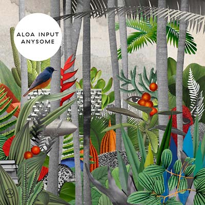 ALOA INPUT - Anysome Vinyl Record