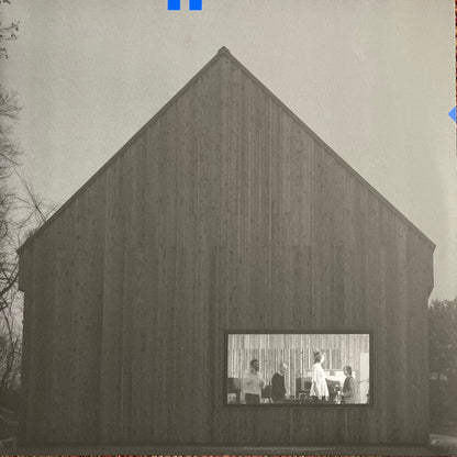 Sleep Well Beast Vinyl Record