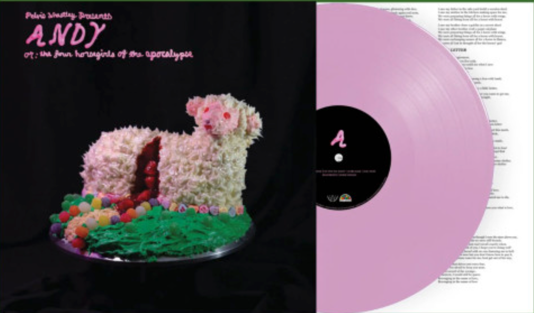 Andy, Or: The Four Horsegirls Of The Apocalypse (Pink Frosting VINYL) Vinyl Record