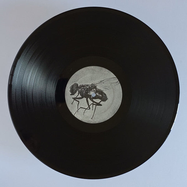  Vinyl Record