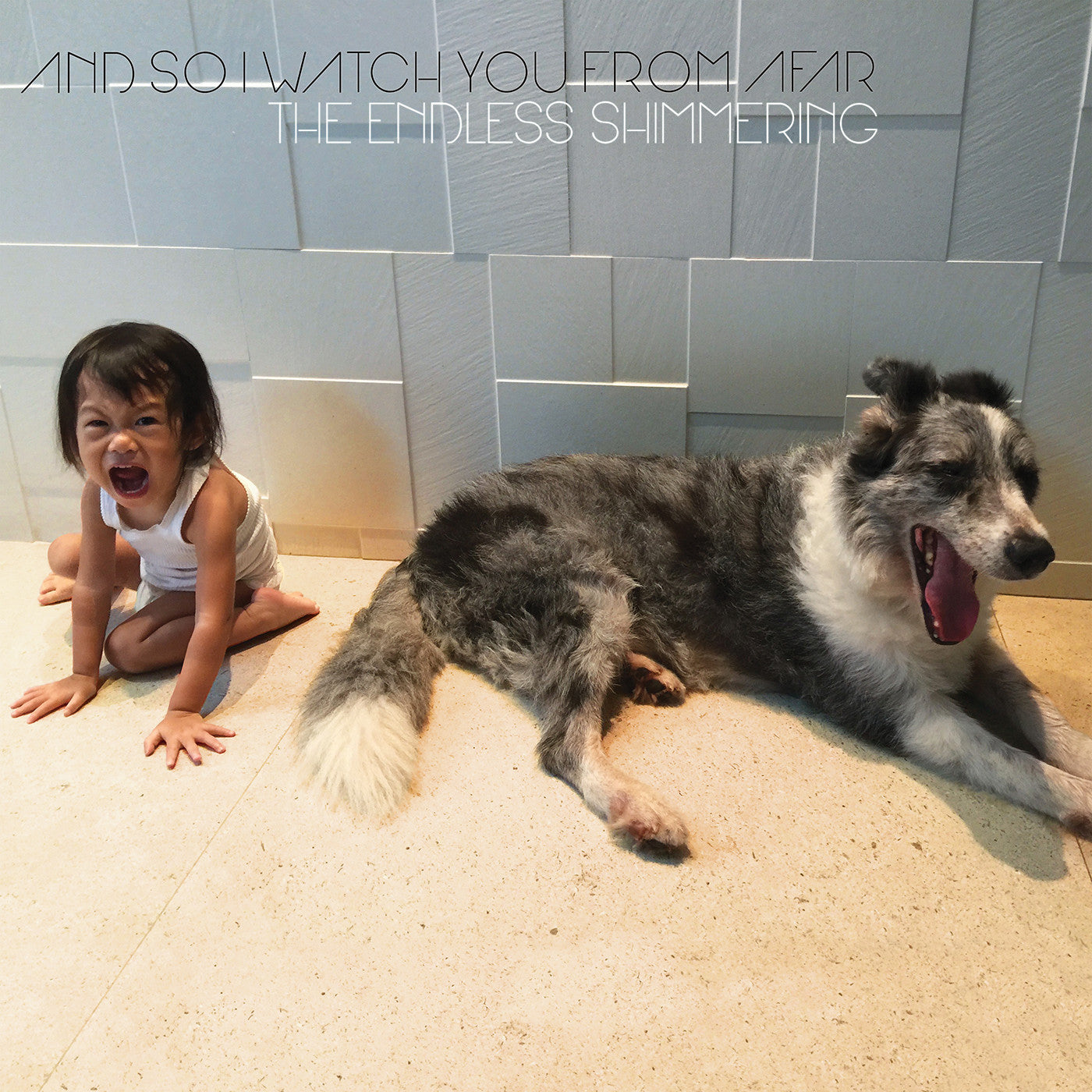 The Endless Shimmering Music CD