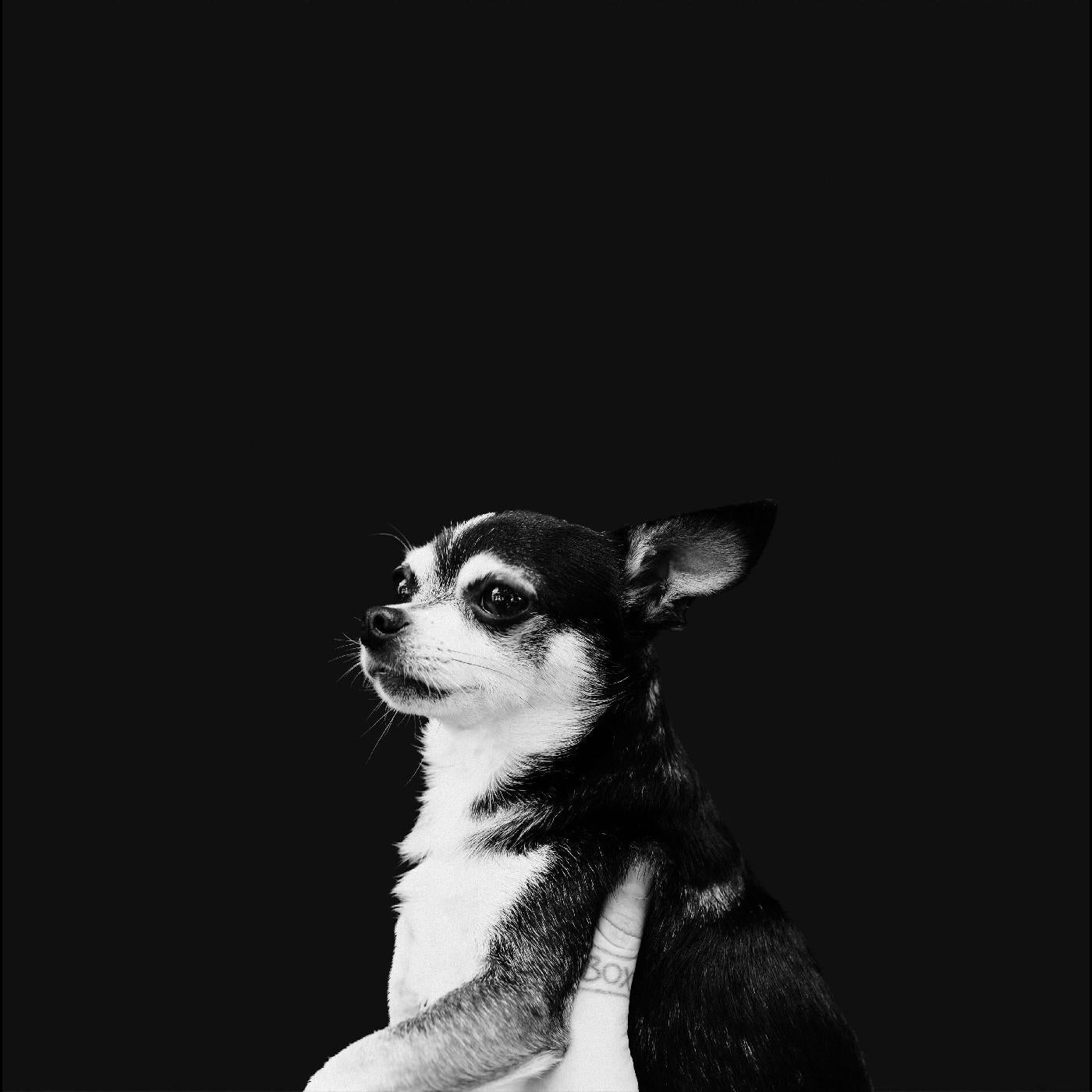 When This Life Is Over   Music CD