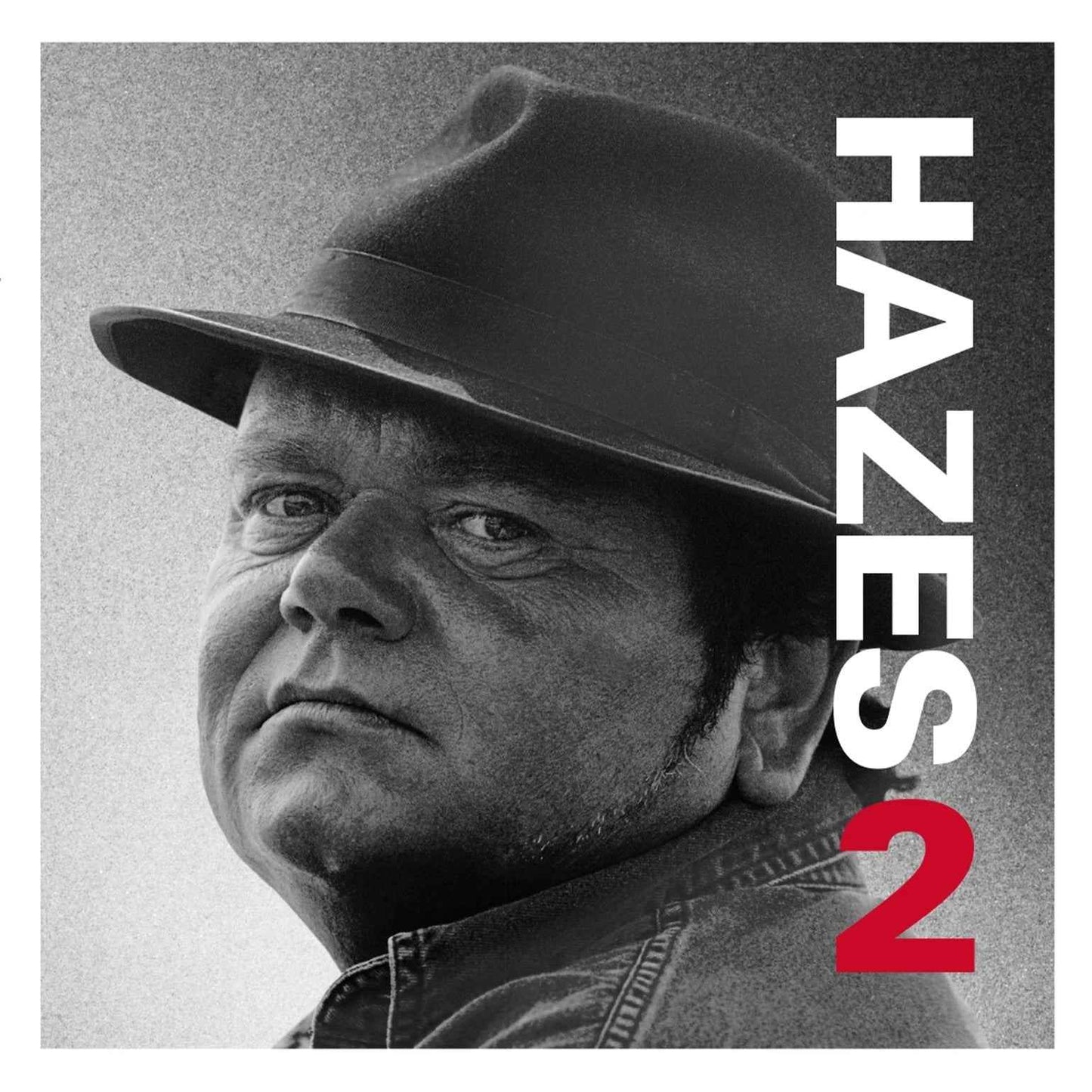 Andre Hazes - Hazes 2 [2LP] [Vinyl] Vinyl Record