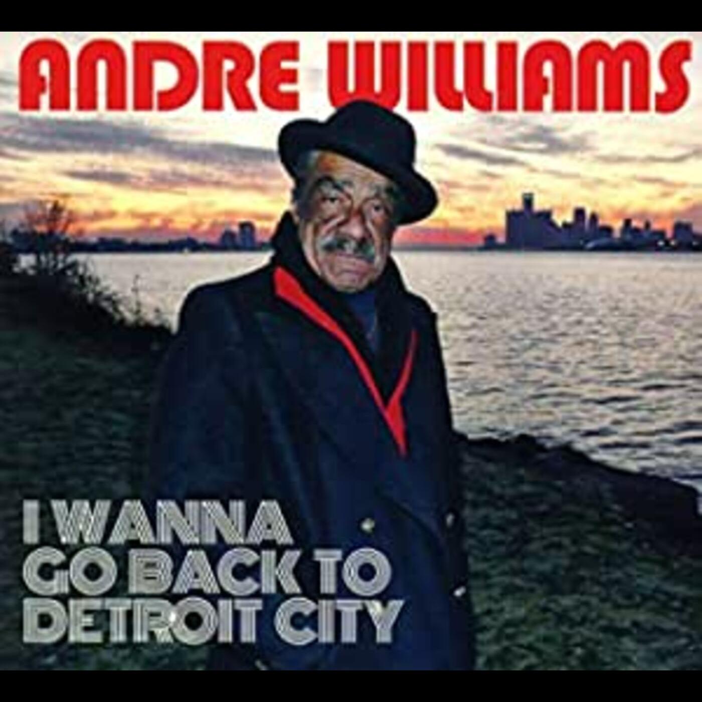 I WANNA GO BACK TO DETROIT CITY   Music CD