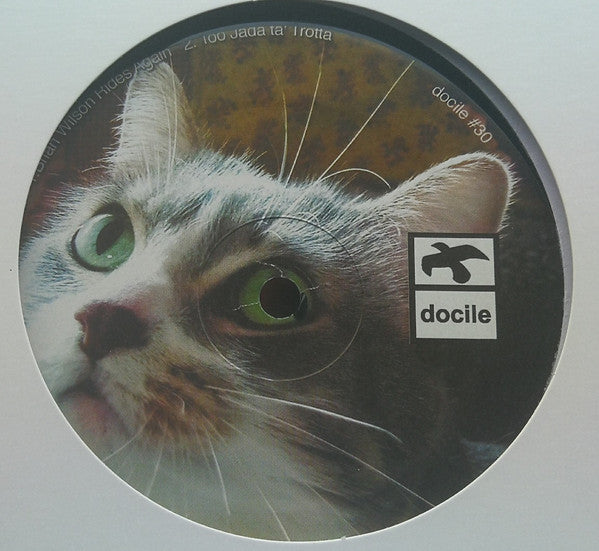 Untitled  Generic Vinyl Record