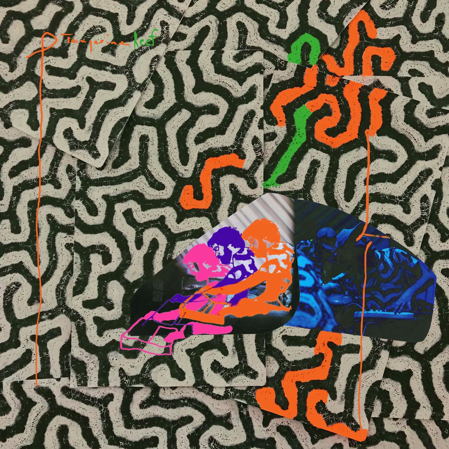 Animal Collective - Tangerine Reef Vinyl Record