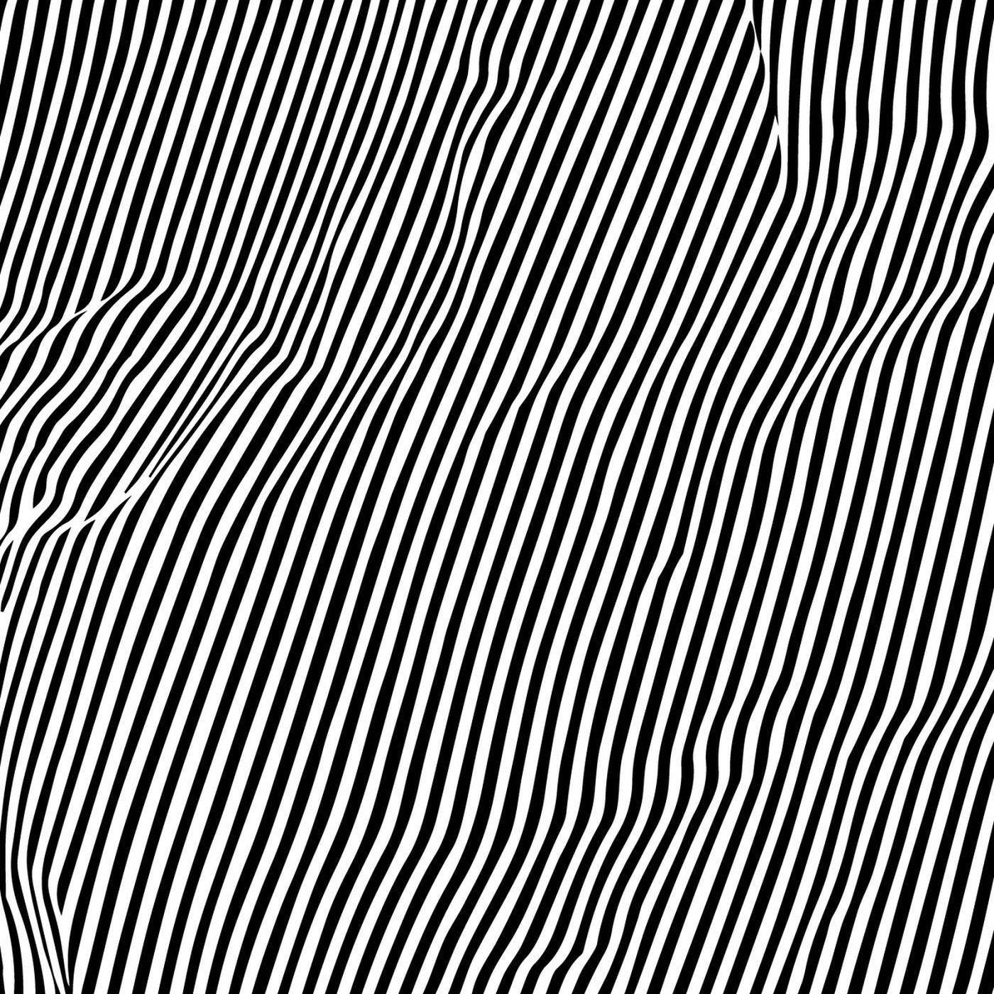 Animal Hospital - Fatique Vinyl Record