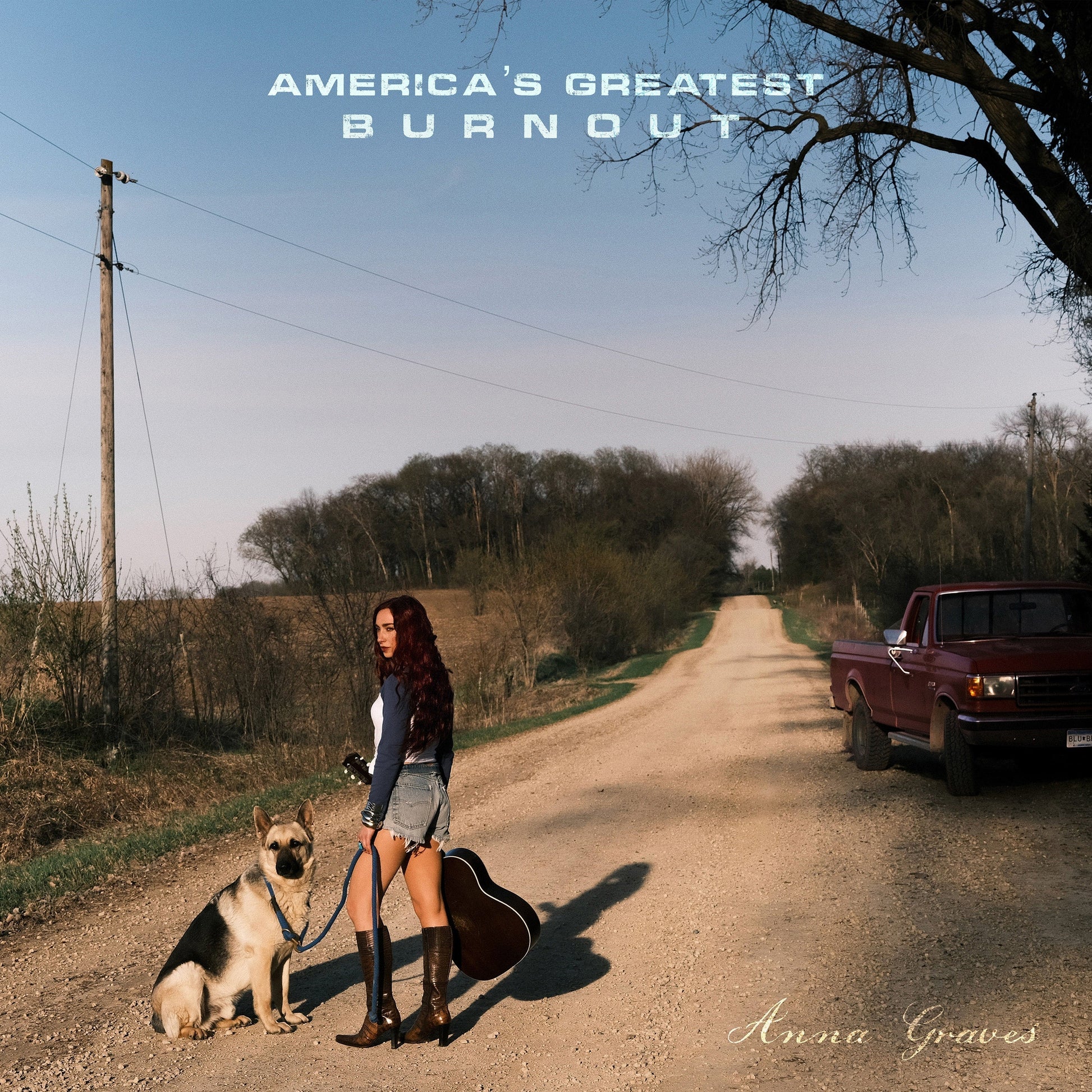 PRE-ORDER Anna Graves - America'S Greatest Burnout [Metallic Blend Eco-Mix LP] [Vinyl] Vinyl Record
