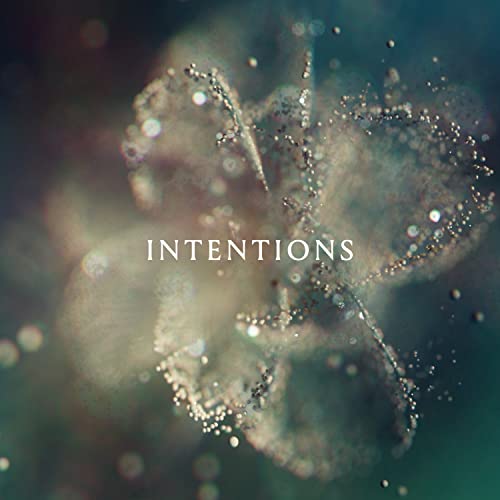 ANNA - Intentions [2 LP] Vinyl Record