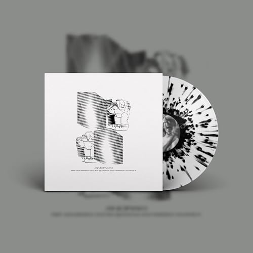 Self-Actualization And The Ignorance And Hesitation Towards It Vinyl Record