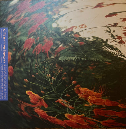 Chameleon Vinyl Record